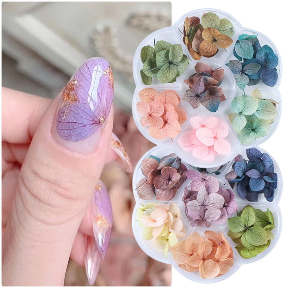 Couleurs Fleurs séchées pour ongles