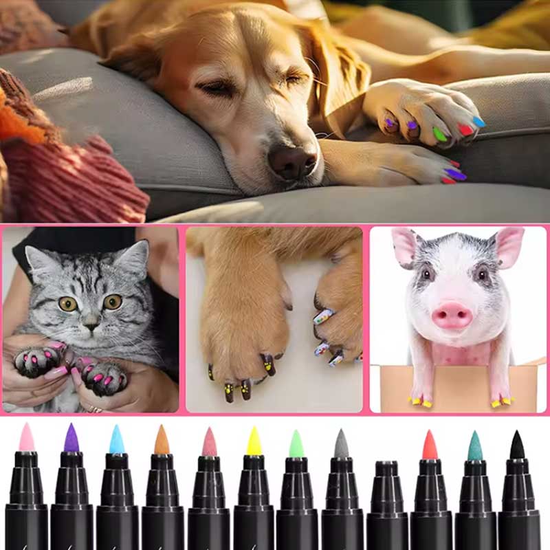 Stylo vernis à ongles pour chien